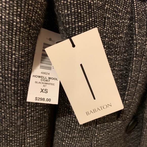 Aritzia Babaton Howell Wool Coat - Picture 4 of 8